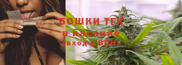 прущие грибы Вязники