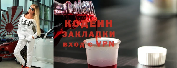 прущие грибы Вязники